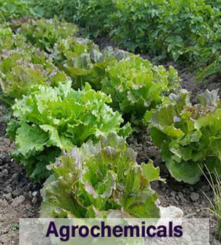Agrochemicals